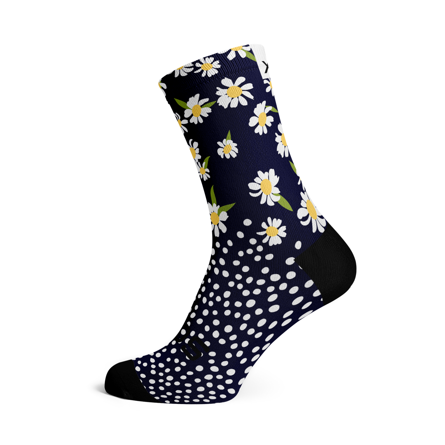 SOX Daisy