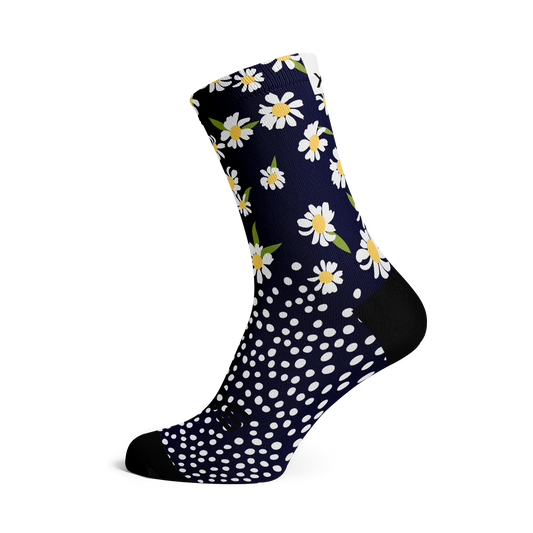SOX Daisy