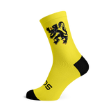 SOX Lion Flag