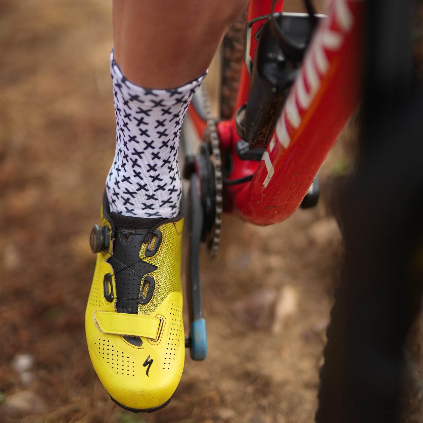 SOX Cross