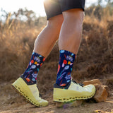SOX Protea