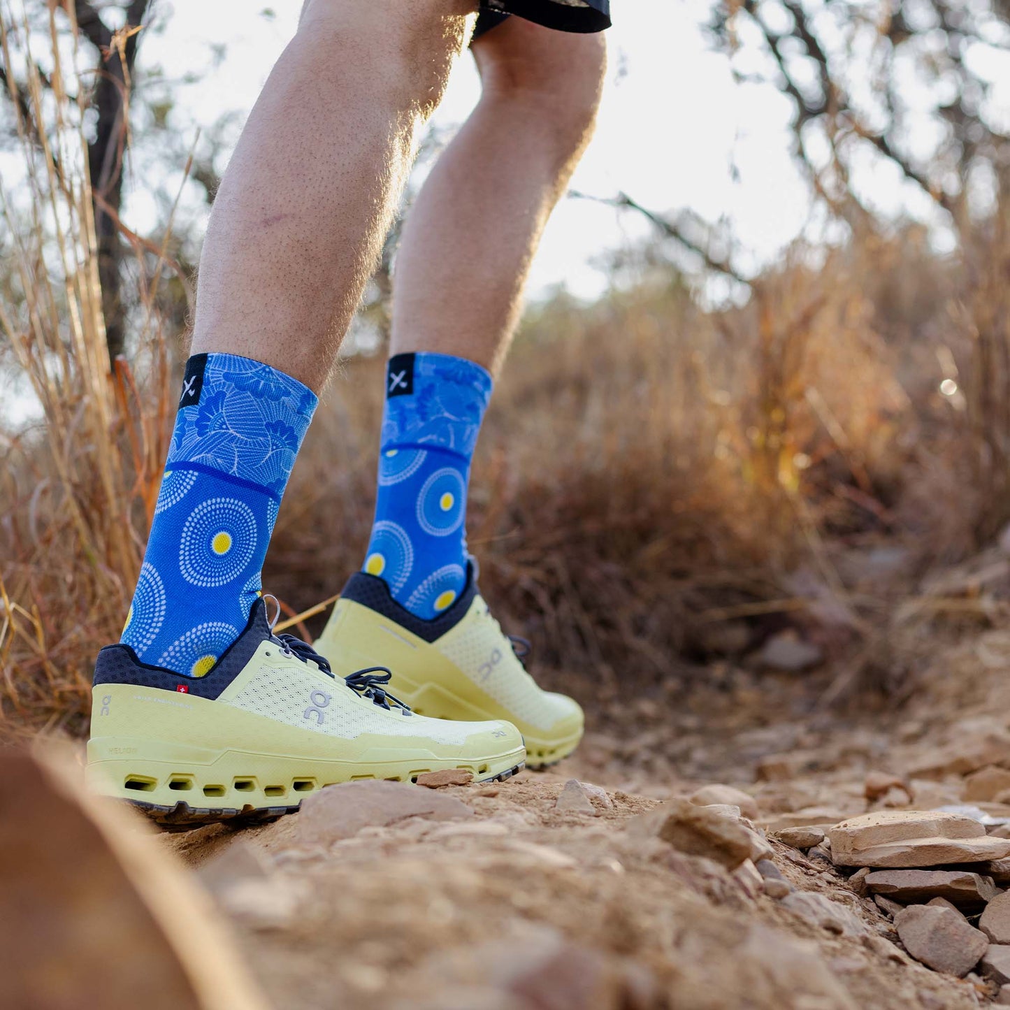 SOX Sotho